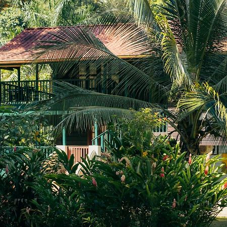 Casa De Mono Bocas Bed & Breakfast Big Creek Dış mekan fotoğraf