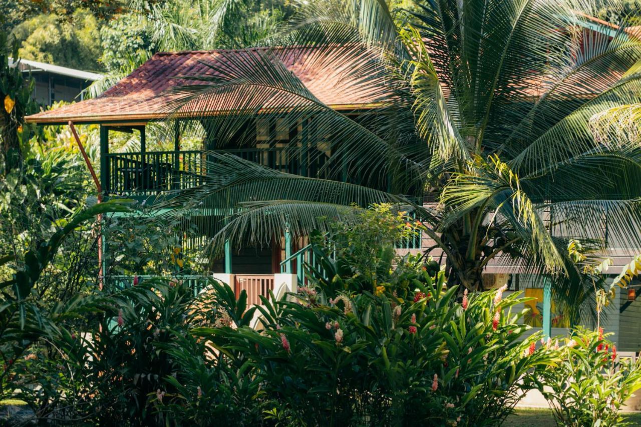 Casa De Mono Bocas Bed & Breakfast Big Creek Dış mekan fotoğraf
