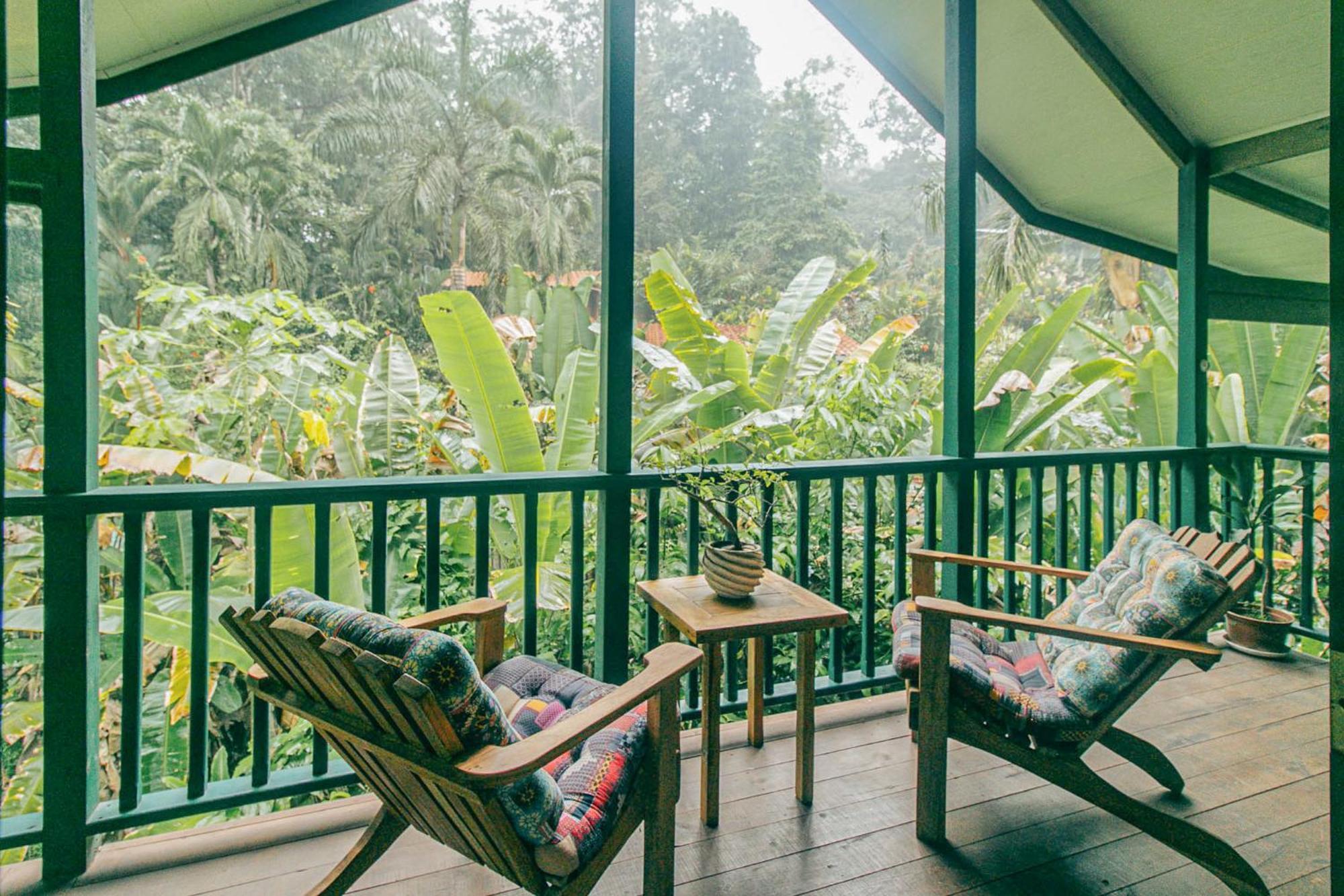 Casa De Mono Bocas Bed & Breakfast Big Creek Dış mekan fotoğraf