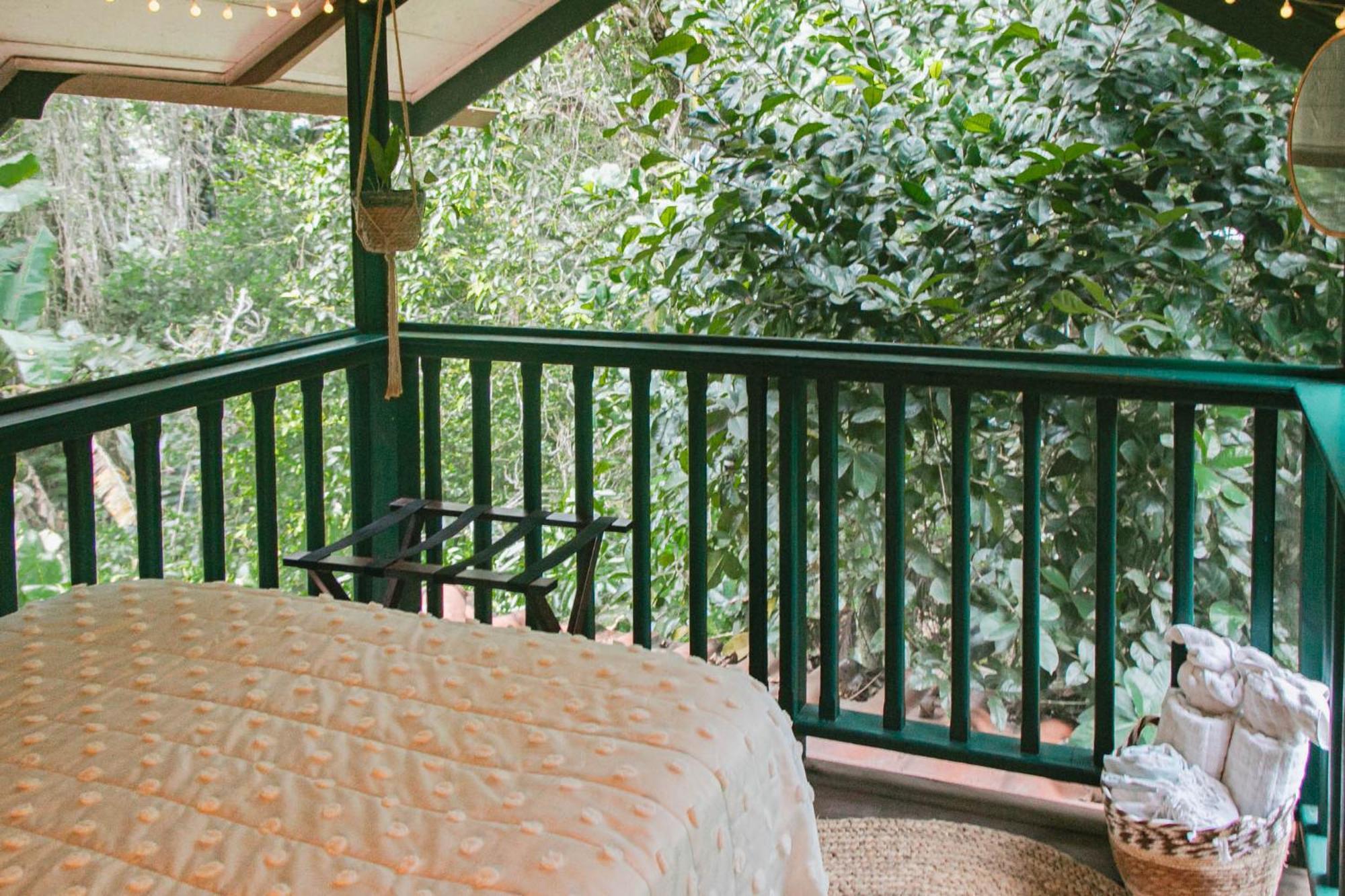 Casa De Mono Bocas Bed & Breakfast Big Creek Dış mekan fotoğraf