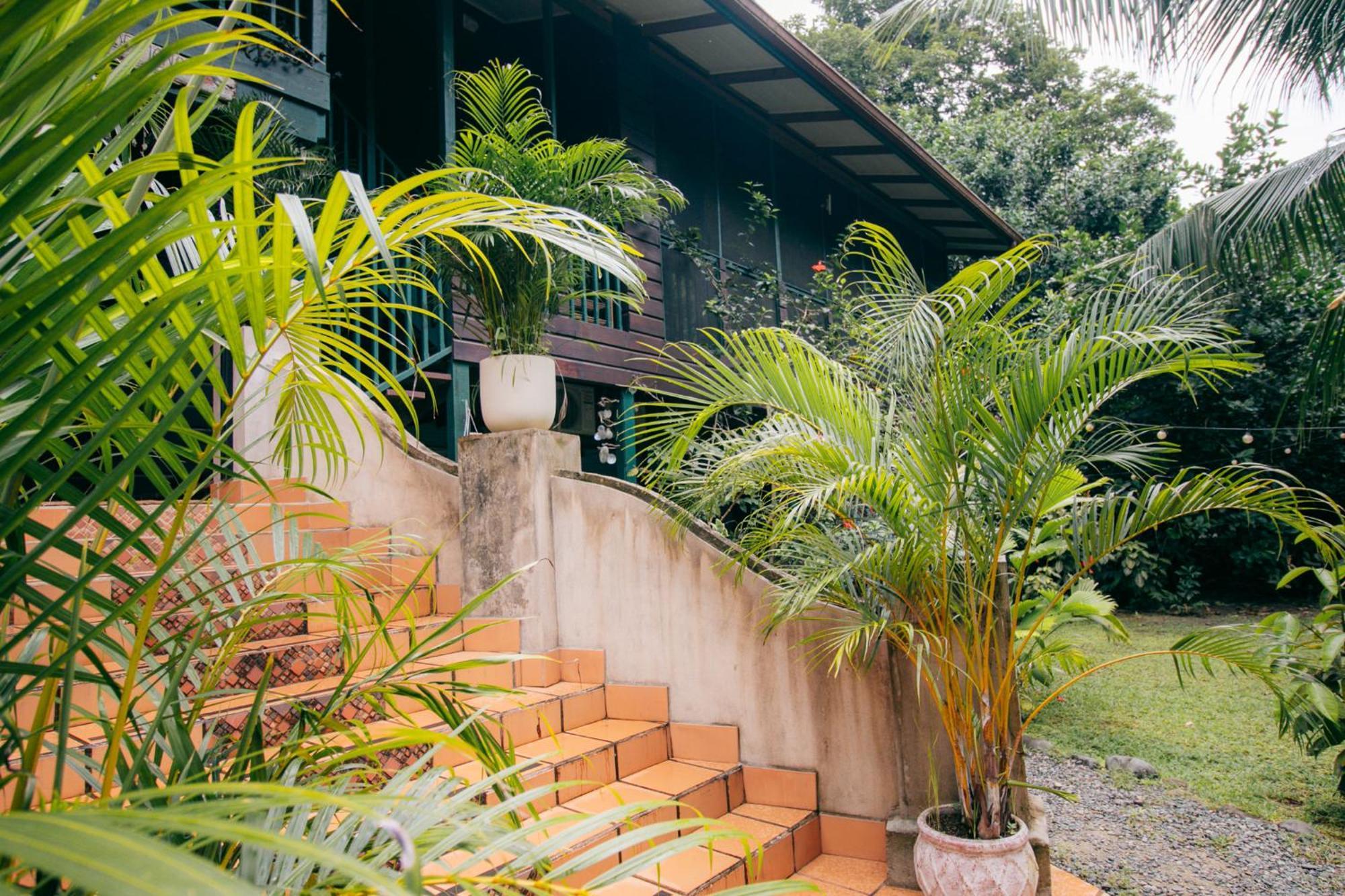 Casa De Mono Bocas Bed & Breakfast Big Creek Dış mekan fotoğraf