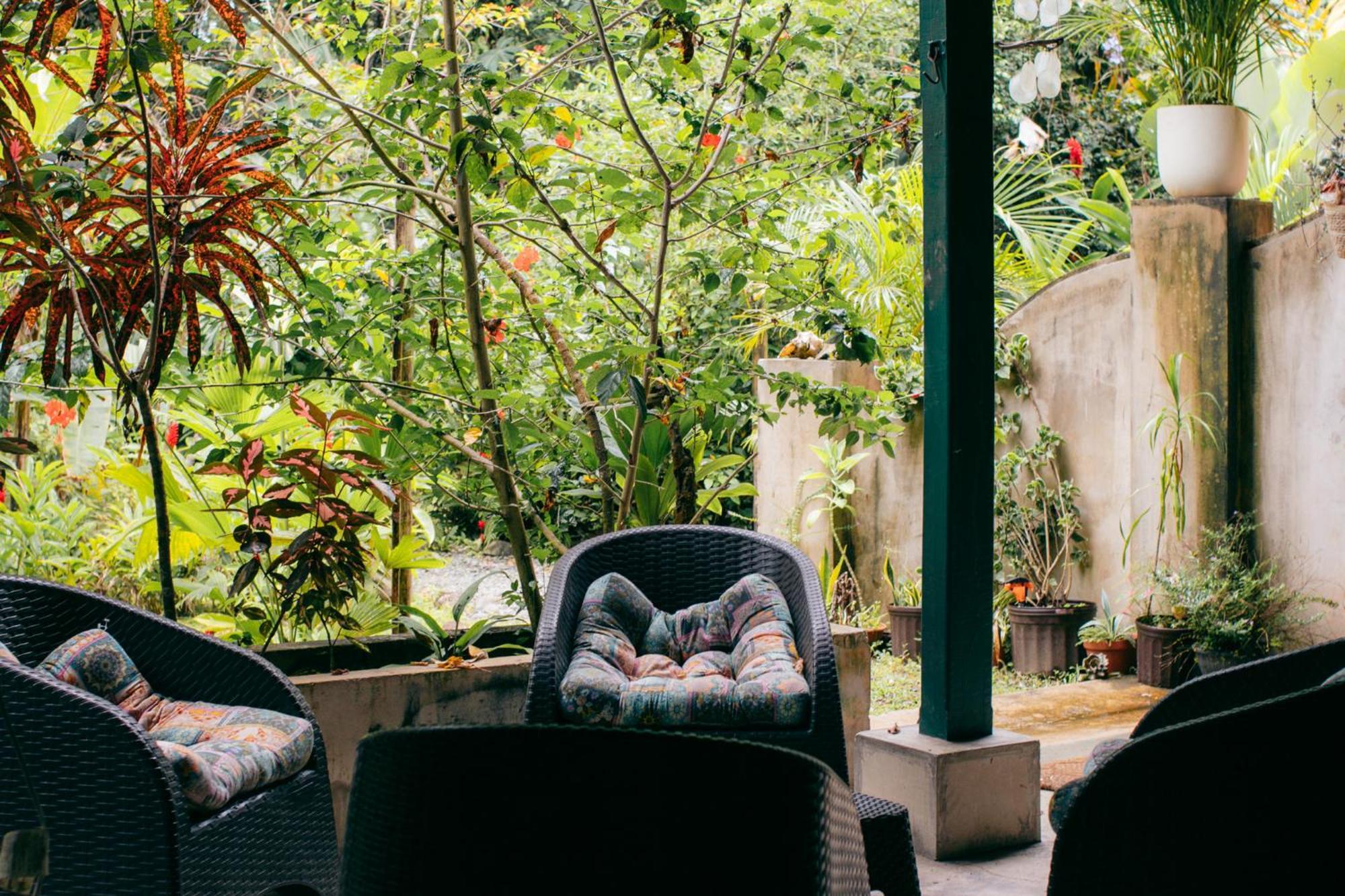 Casa De Mono Bocas Bed & Breakfast Big Creek Dış mekan fotoğraf