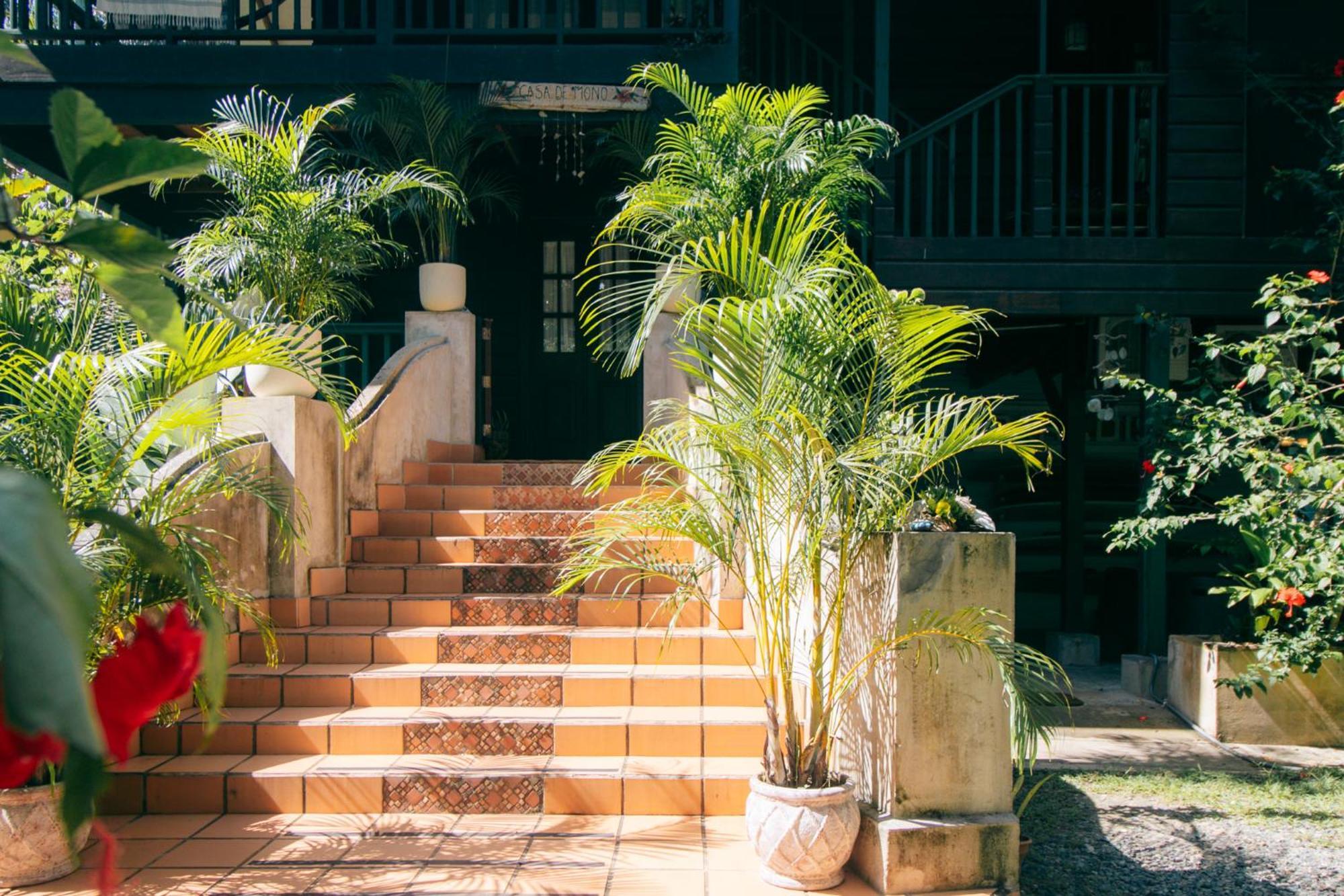 Casa De Mono Bocas Bed & Breakfast Big Creek Dış mekan fotoğraf