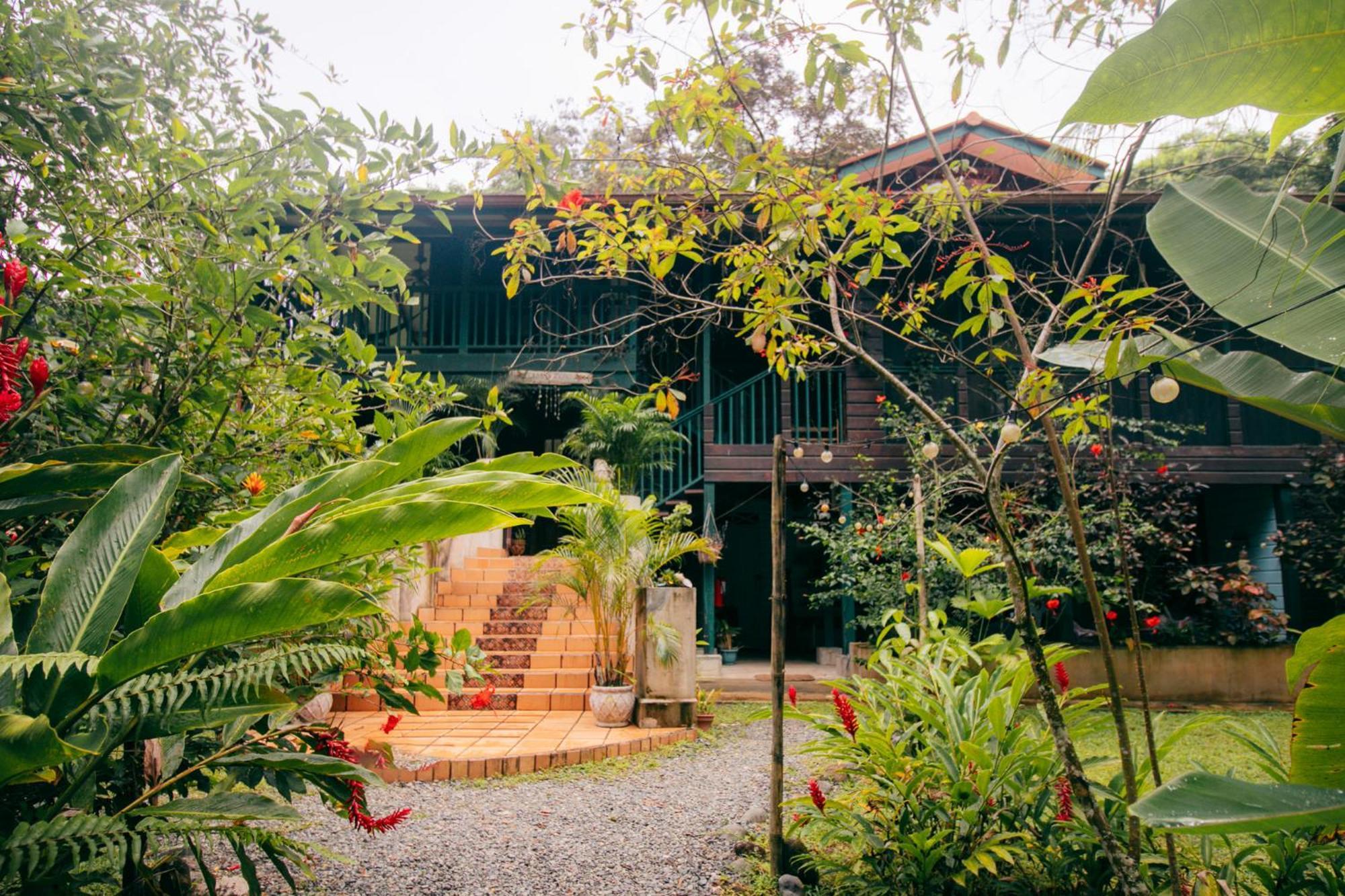 Casa De Mono Bocas Bed & Breakfast Big Creek Dış mekan fotoğraf